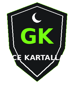 Gece Kartalları