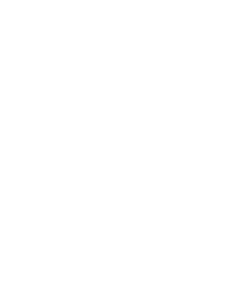 Elite Lig